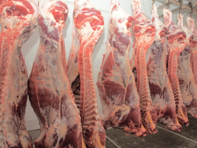 Recruitment and Retention Guide for Maintenance Engineering in the Red Meat Processing Industry