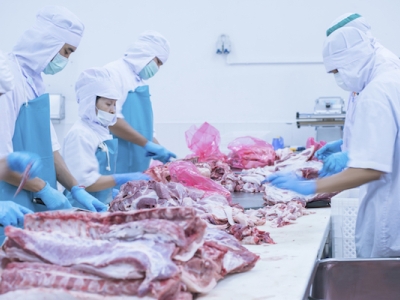 Meat Technology Update-Effect of Slaughter Method on Animal Welfare &amp; Meat Quality