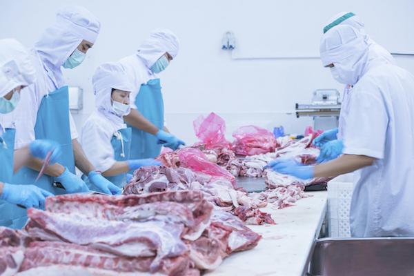 Meat Technology Update-Effect of Slaughter Method on Animal Welfare & Meat Quality 