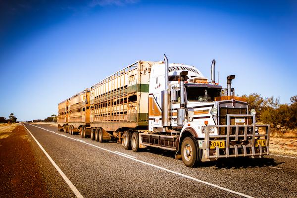 Impact of Transport to Australia's Distant Markets, with Special Reference to the Chinese Market