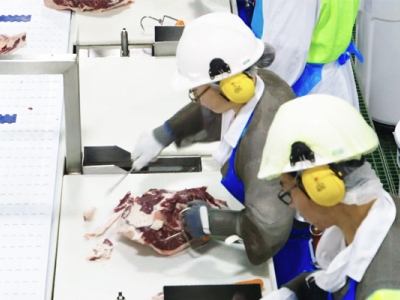Making the Meat Industry a Safer Place for Workers