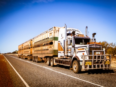 Impact of Transport to Australia&#039;s Distant Markets, with Special Reference to the Chinese Market