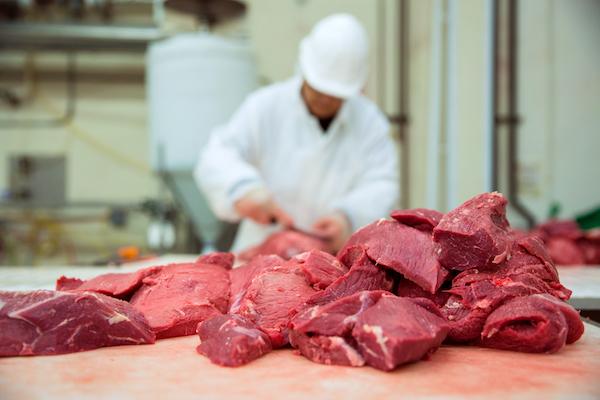Options to Maximise Process Heat Recovery at Red Meat Processing Facilities