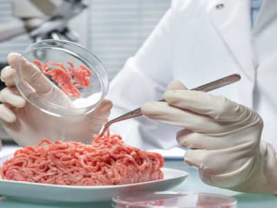 Meat Industry Services: Ultrasonics to improve meat texture