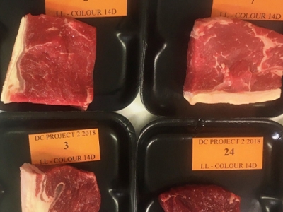 Can on-site beef dark cutting evaluation (monitoring) be improved and value-added?