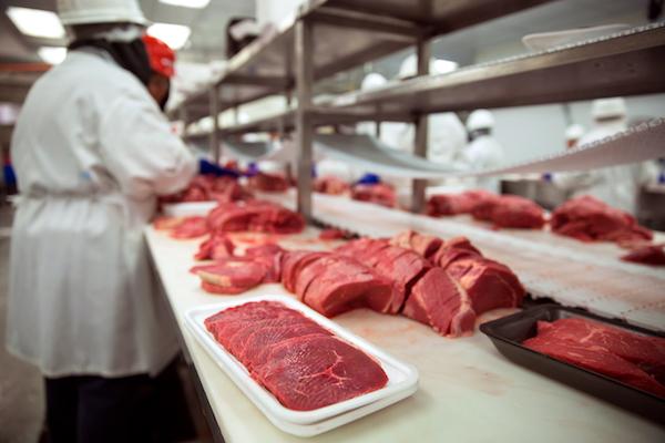 An Energy Management Plan for Red Meat Processing Facilities