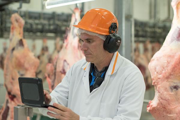 Electronic data collection for meat inspection